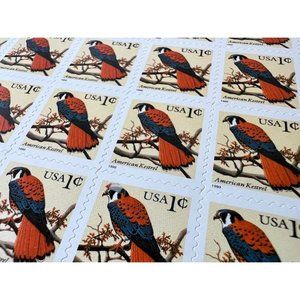 American Kestrel Bird 1991 Postage Stamps Unused Vintage USA 1 Cent  Scott 2476